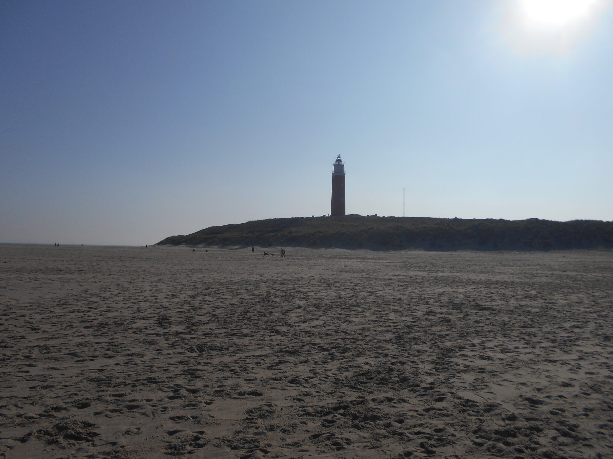 De Kleine Theetuin in de Duinen: elke dag op Texel - Auteur Anne West